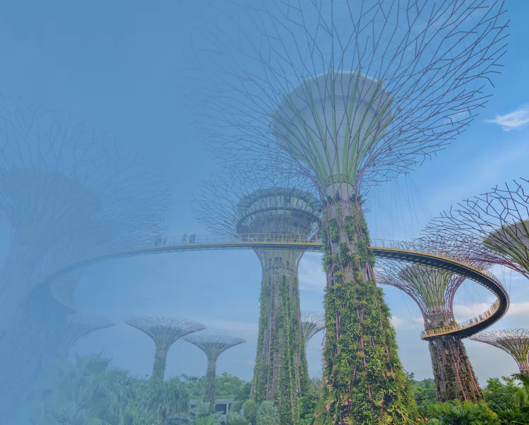 lrpgwr7lgzdbqd0fi6gj